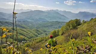 Виллы Monte Chalet Kolašin Колашин Вилла с видом на сад-116
