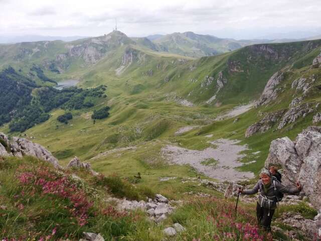 Виллы Monte Chalet Kolašin Колашин-111