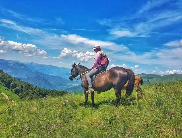 Виллы Monte Chalet Kolašin Колашин-121